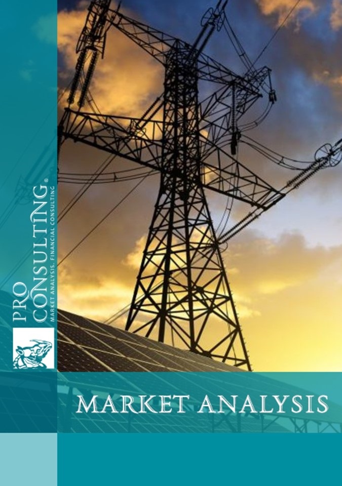 Electricity Market Analysis of Ukraine. 2020 year